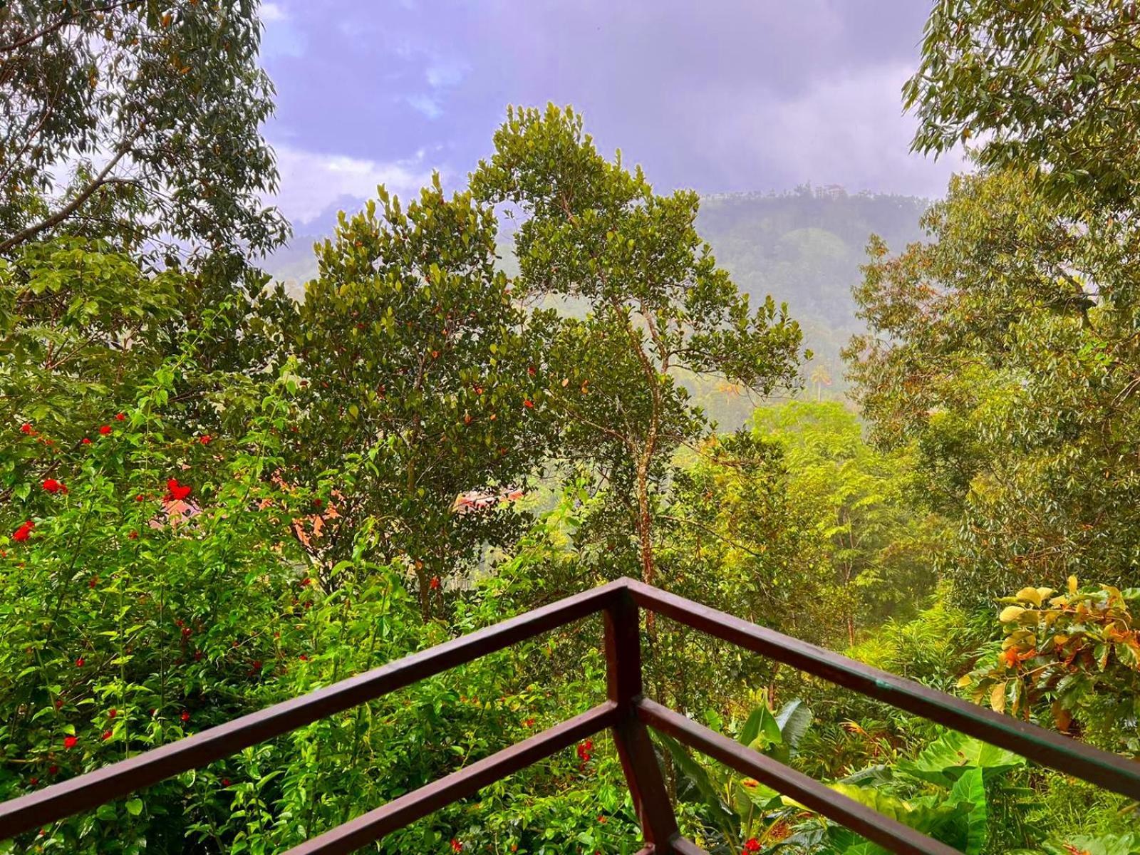 Misty Lake Resorts, Munnar Bagian luar foto