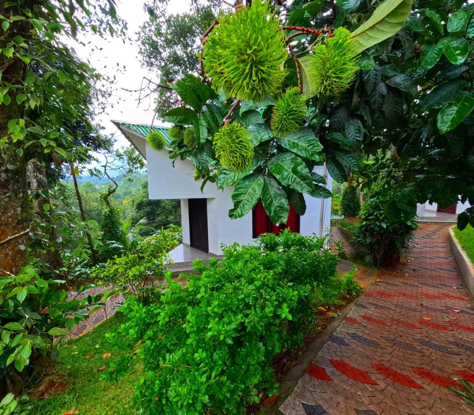 Misty Lake Resorts, Munnar Bagian luar foto