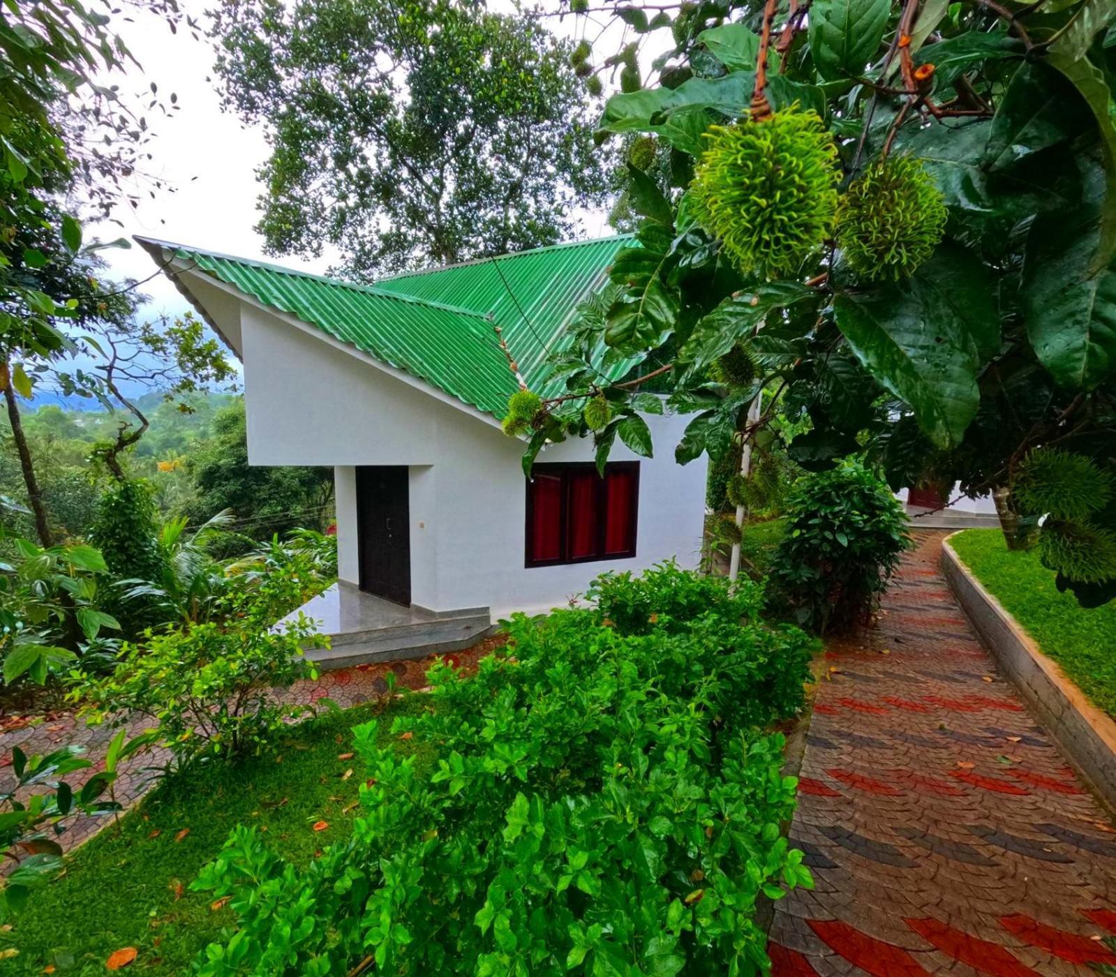 Misty Lake Resorts, Munnar Bagian luar foto