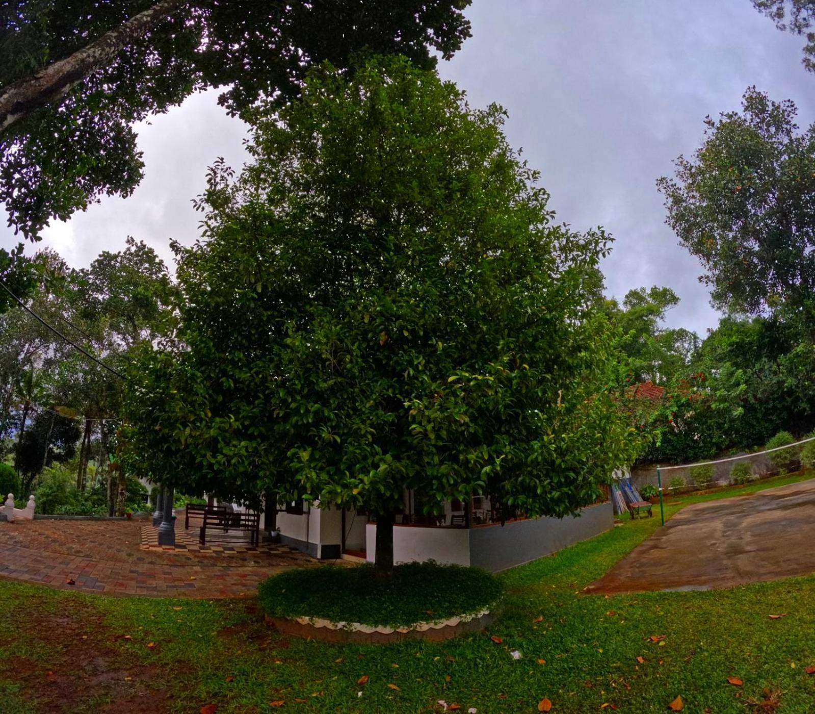 Misty Lake Resorts, Munnar Bagian luar foto