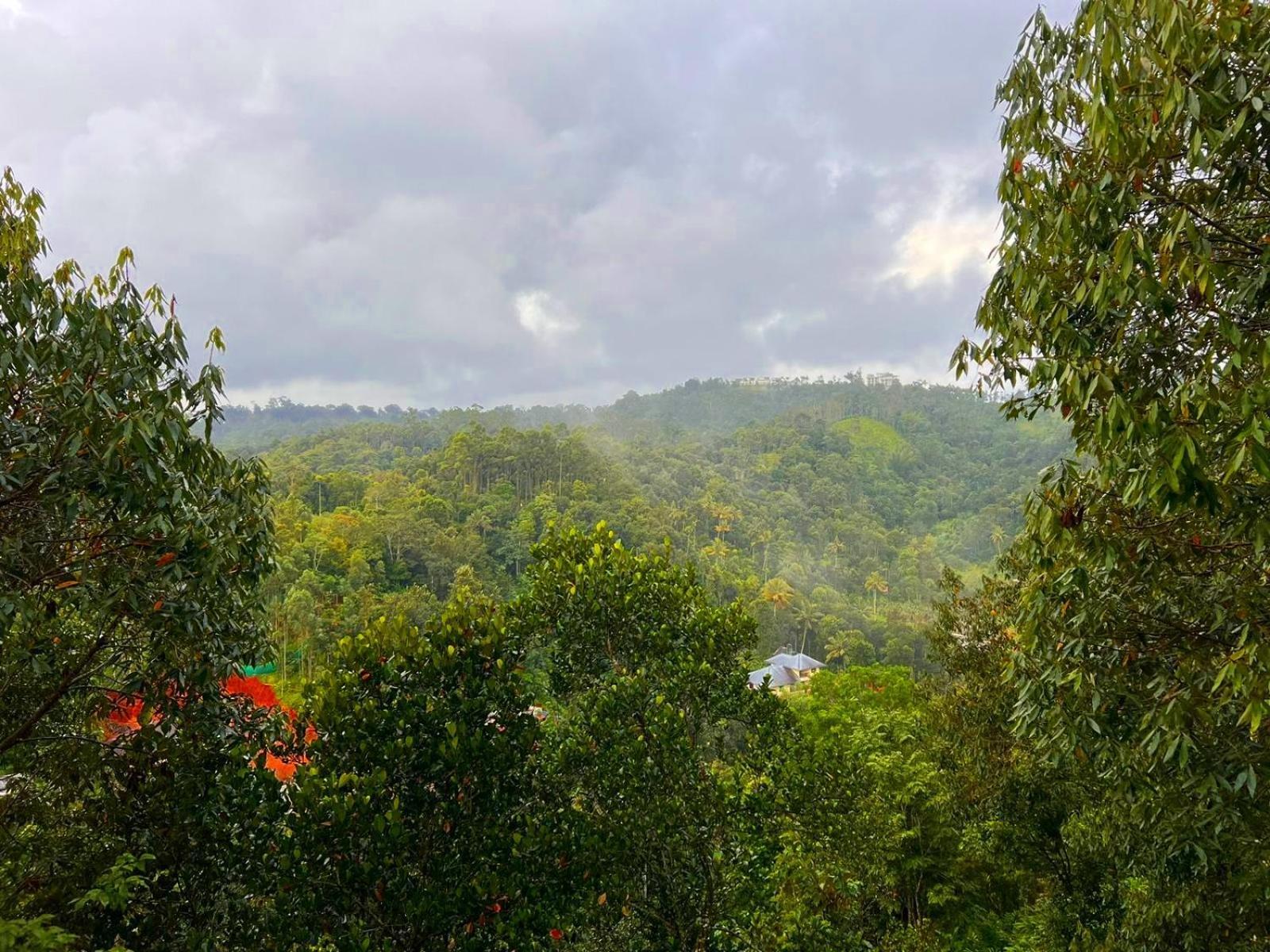 Misty Lake Resorts, Munnar Bagian luar foto